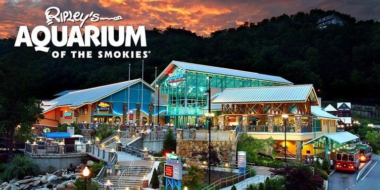 Modern Style, Arcade, Fire Pit, Pet Friendly Pigeon Forge Exterior foto